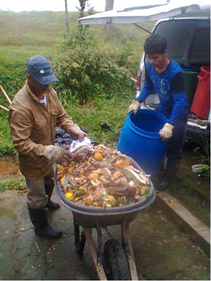 RECICREARTE INVESTIGA ALTERNATIVAS EN PRODUCCI�N DE ABONOS ORG�NICOS